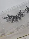 20241122_143526.webp
